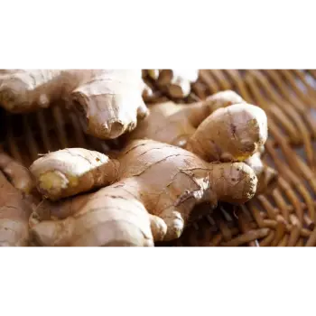 ginger (24)-4505331-67893.webp